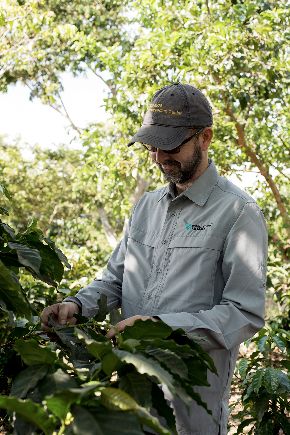 World-coffee-research-litha-espresso